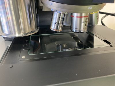 画像式粒度分布測定装置 Morphologi G3SE 写真2