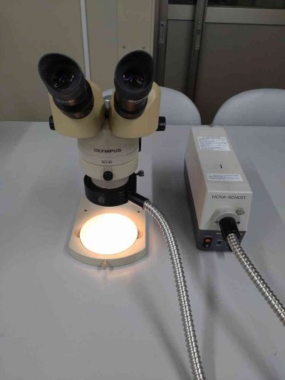 実体顕微鏡（標準スタンド） SD30 写真2