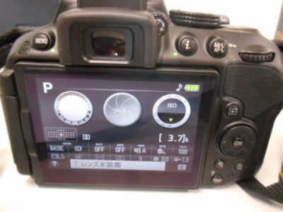 一眼レフカメラ D5300 写真9