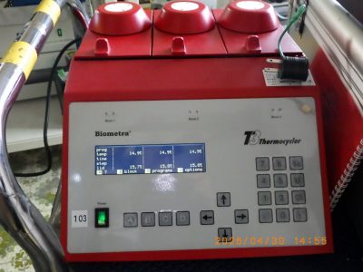 サーマルサイクラー Biometra T3 Thermoblock