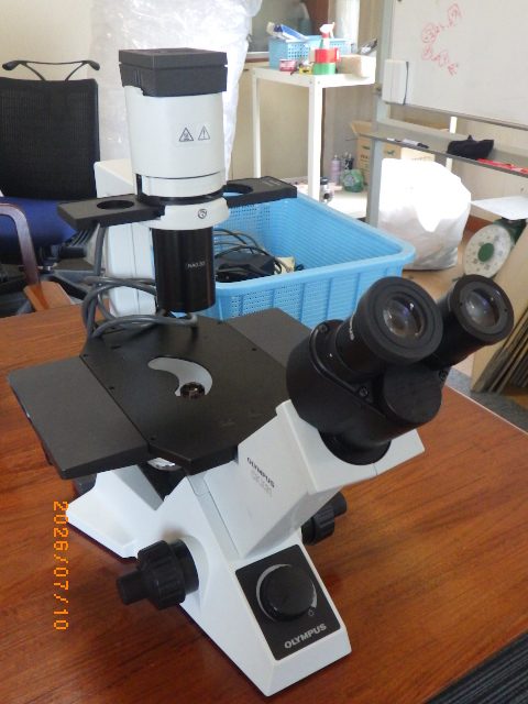 Inverted Microscope CKX31 Olympus
