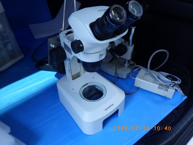 Stereo Microscope SZ61 Olympus