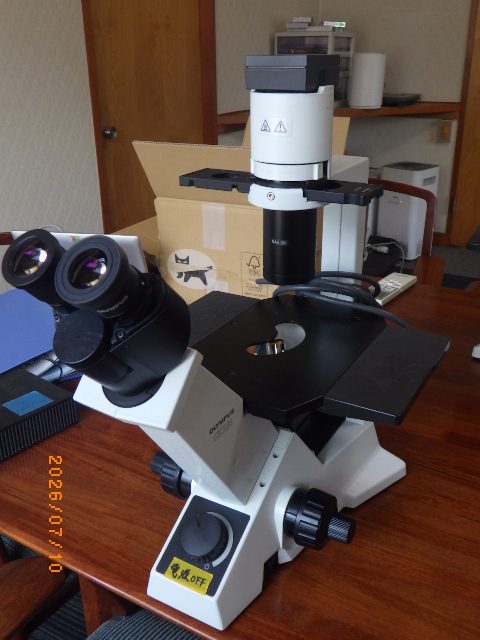 Microscope CKX31 Olympus