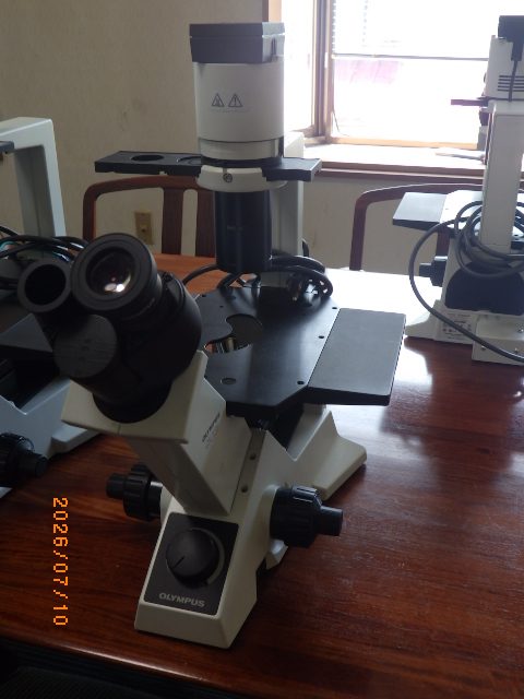 Microscope CKX31 Olympus